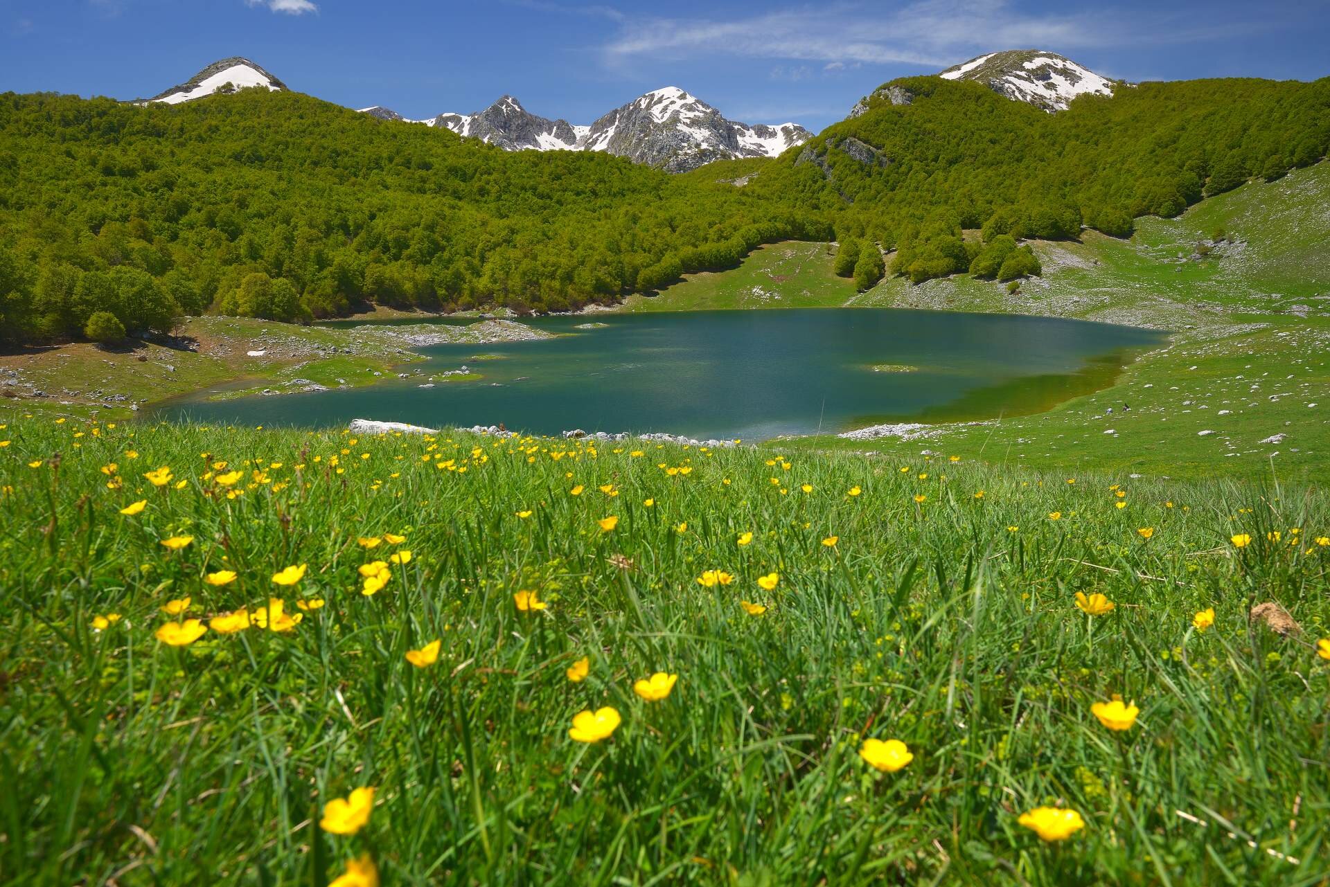 Wildlife Adventures - Escursioni guidate in Abruzzo | © Marco Buonocore - Wildlife Adventures Il Lago Vivo in Abruzzo al suo risveglio primaverile | © Marco Buonocore - Wildlife Adventures