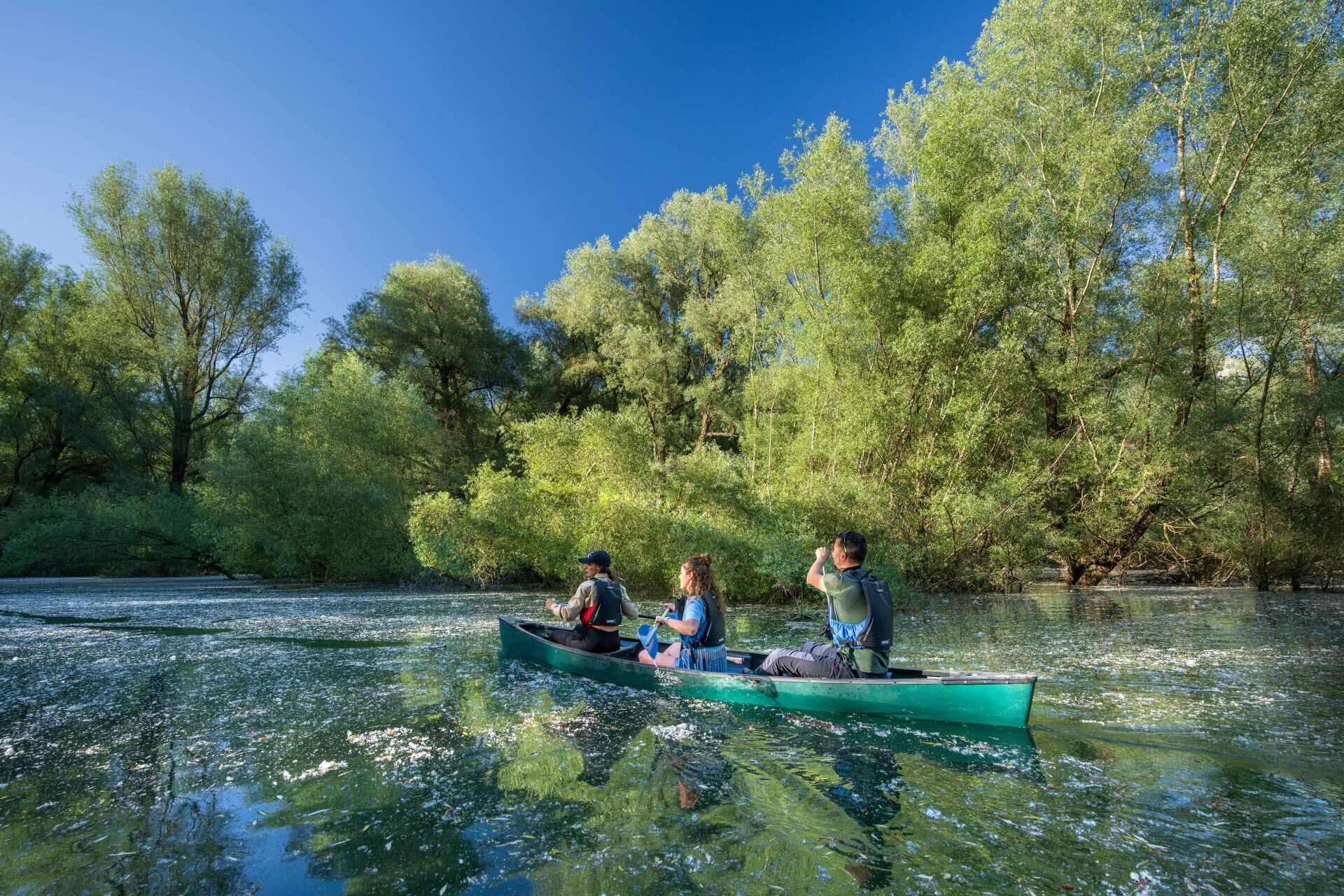 Wildlife adventures - Fare canoa in Abruzzo | © Archivio Wildlife adventures  Esperienze in canoa sul Lago di Barrea, tra salici, montagne e vegetazione | © Archivio Wildlife adventures