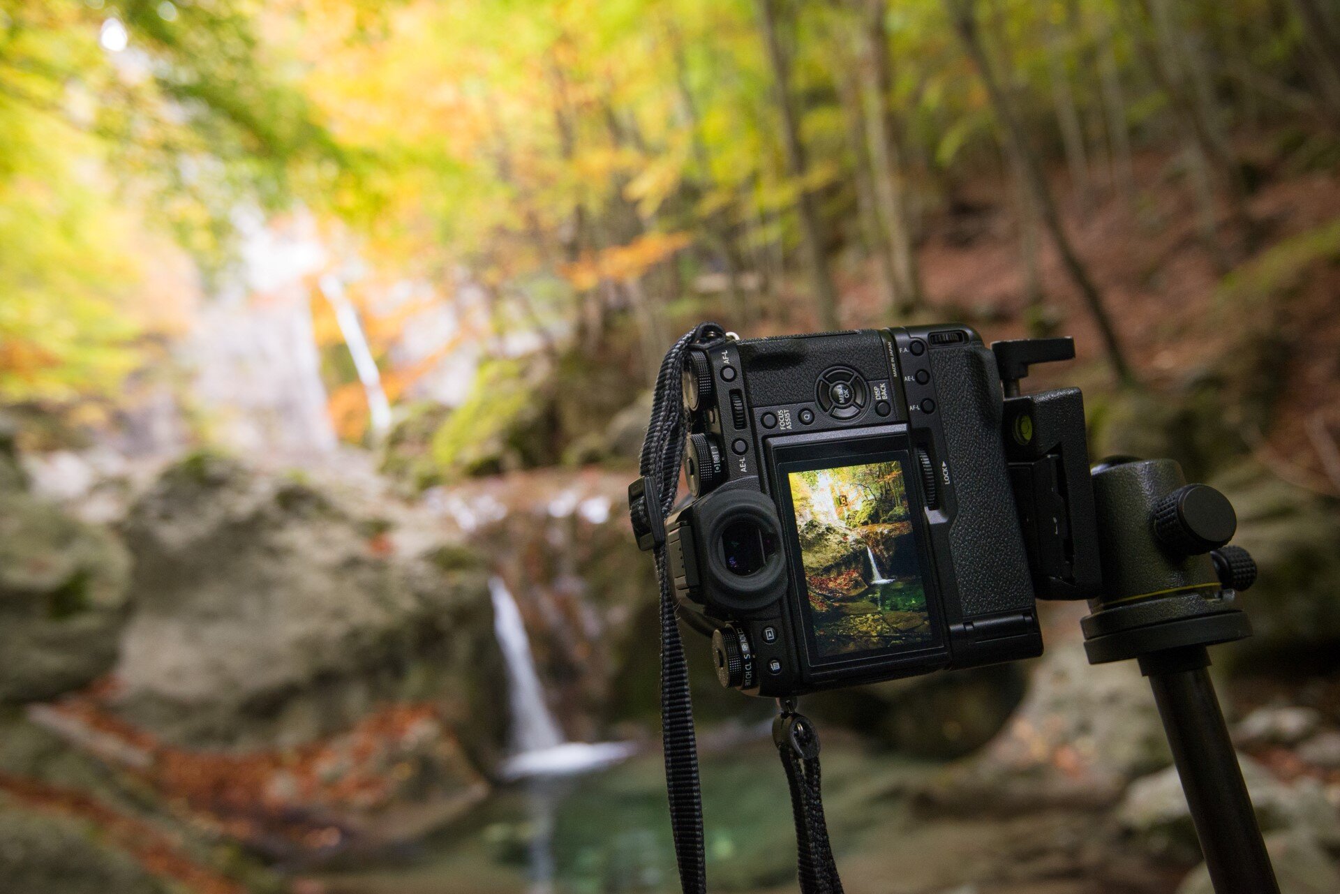 Le splendide cascate della Val Canneto in Autunno | © Umberto Esposito - Wildlife Adventures Workshop di fotografia naturalistica davanti alle splendide cascate della Val Canneto in Autunno | © Umberto Esposito - Wildlife Adventures