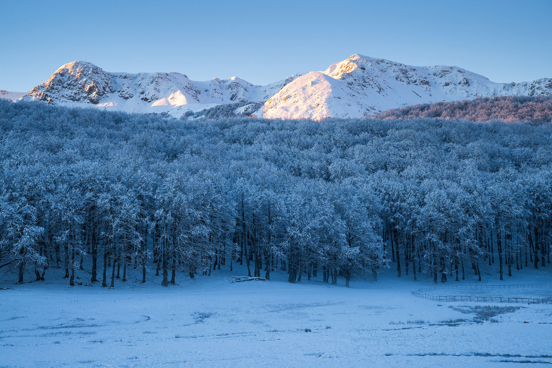 La catena delle Mainarde tra Abruzzo e Molise all'alba impreziosita dalla prima neve | © Umberto Esposito - Wildlife Adventures Escursioni guidate nella wilderness del Monte Meta tra scenari naturali unici del Parco Nazionale d'Abruzzo | © Umberto Esposito - Wildlife Adventures