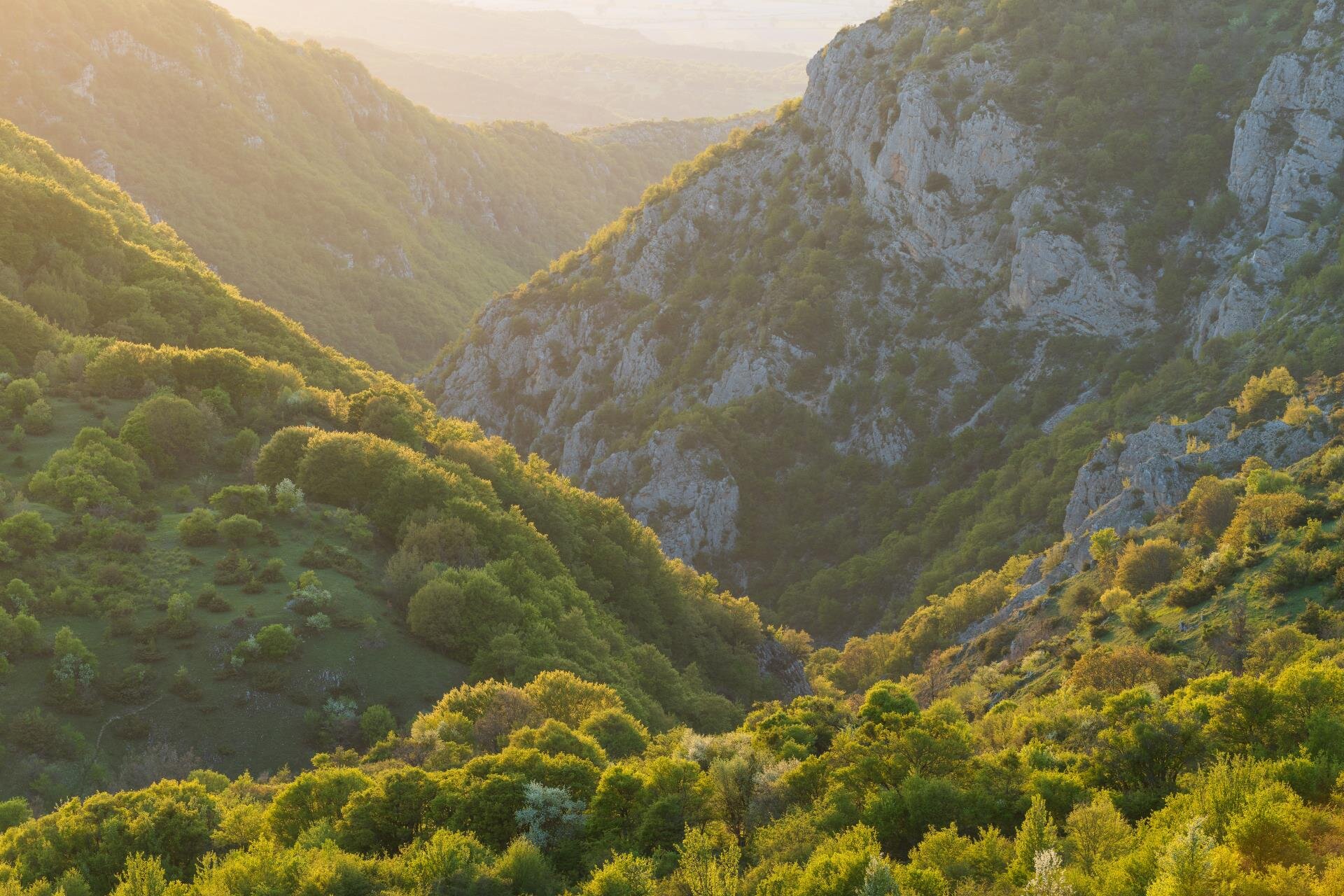 Fotografia scattata a Vallone Macrana in primavera, durante un trekking guidato in Abruzzo | © Umberto Esposito- Wildlife Adventures Scoprire l'abruzzo con Wildlife Adventures | © Umberto Esposito- Wildlife Adventures